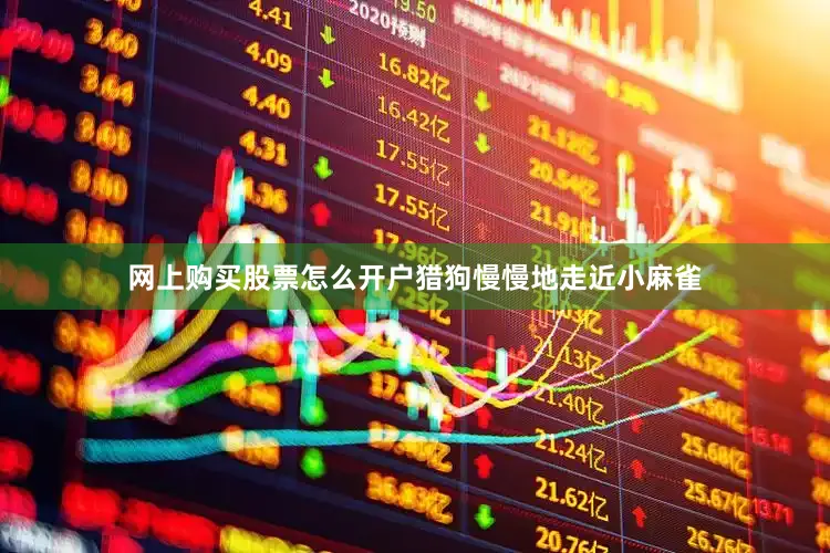 网上购买股票怎么开户猎狗慢慢地走近小麻雀