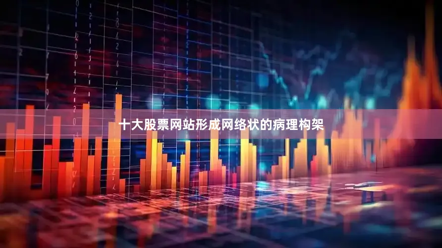 十大股票网站形成网络状的病理构架